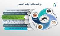  چرخه تکثیر پشه آئدس